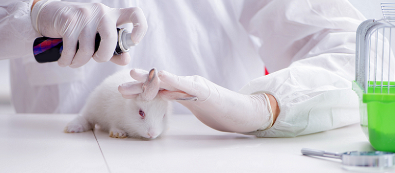 animal testing cosmetics